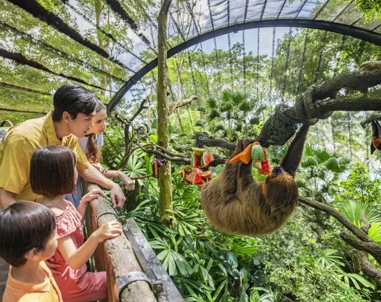 世界でも珍しい 柵のない動物園「シンガポール動物園」